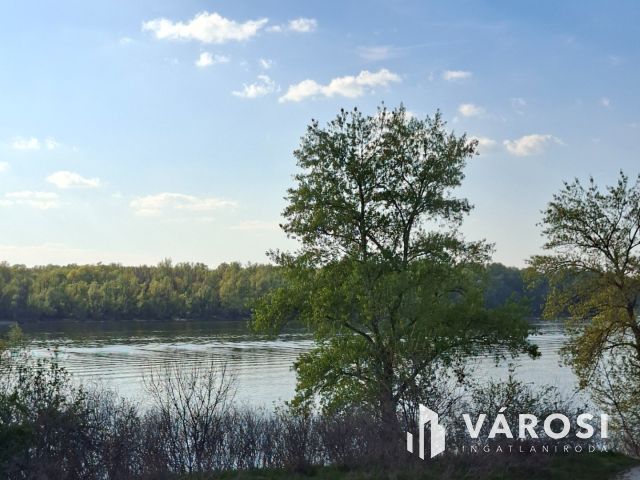 Vízparti álom Tasson! Dunai panorámás nyaraló eladó