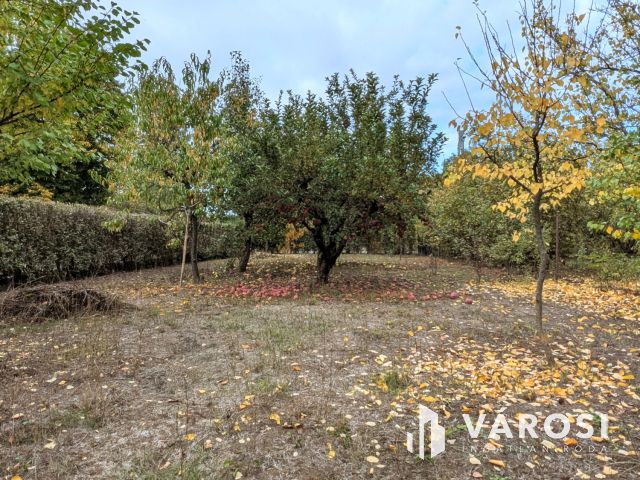 Horgásszon a kert végében!